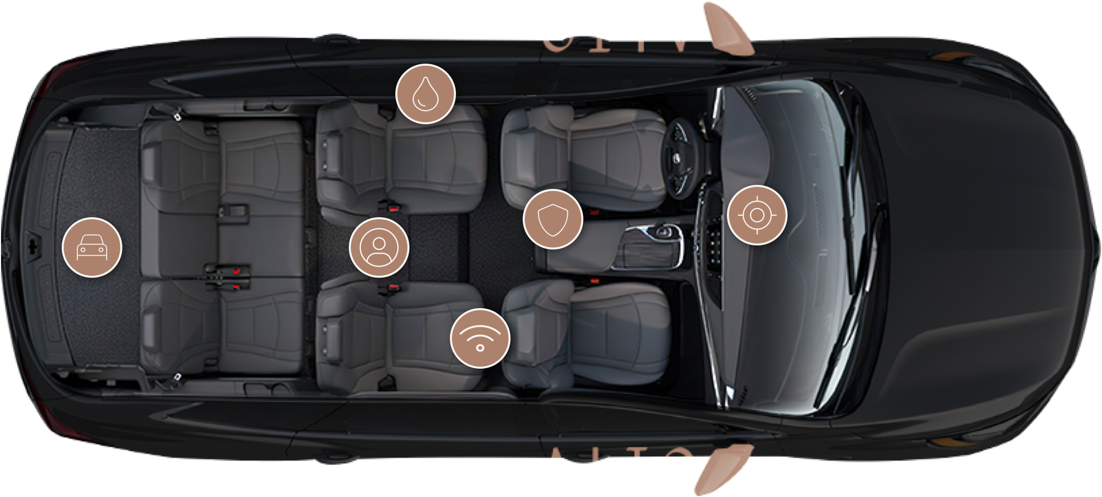 alto vehicle features with birds-eye view