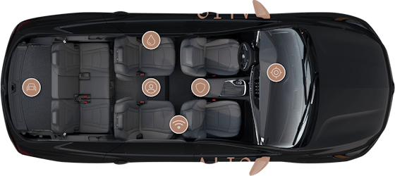 alto vehicle features with birds-eye view