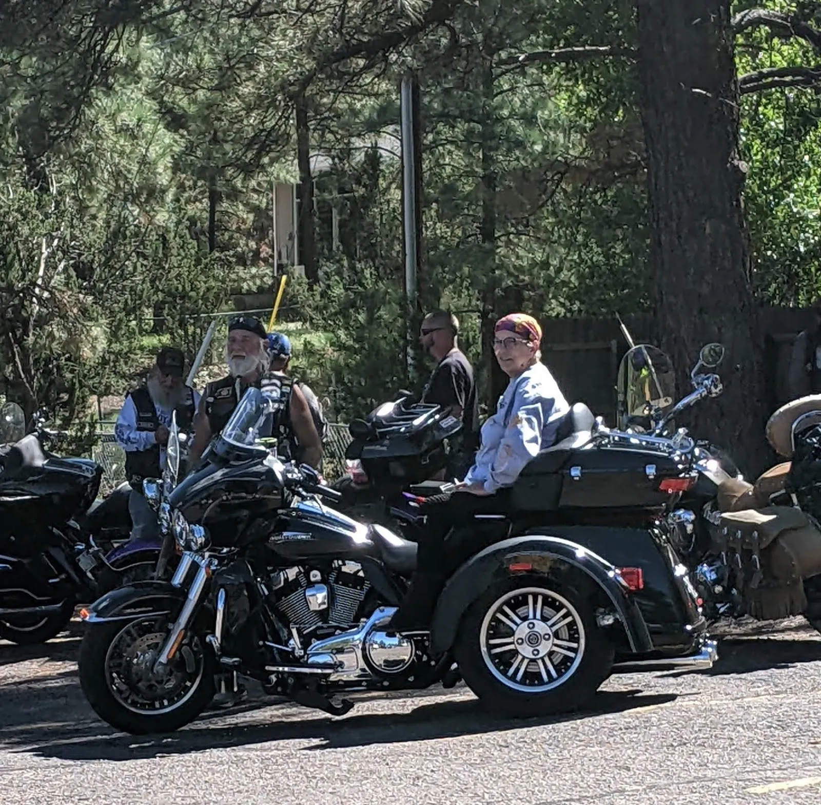 floresta nacional apache sitgreaves, visitar lago pinetop