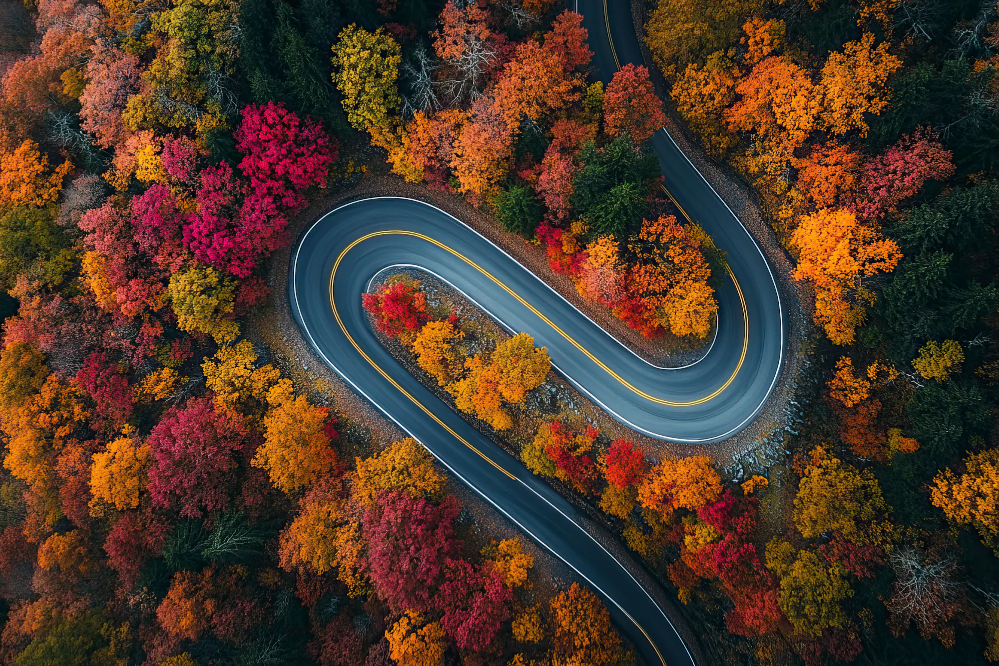 melhores viagens de motocicleta verão – Cherohala Skyway e as Montanhas do Norte da Geórgia