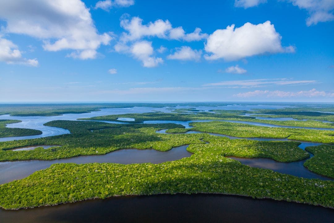 Aerial view of the Everglades in Florida travel to Miami