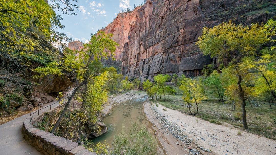 view of the riverside walk along the virgin river in zion national park road trip from las vegas