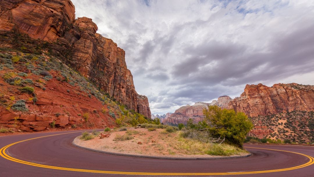 view on the zion-mount carmel highway in zion national state park