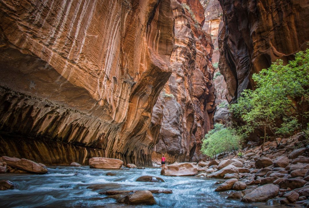 scenic picture of a hiker hiking the narrows in zion national park road trip from las vegas to zion national park
