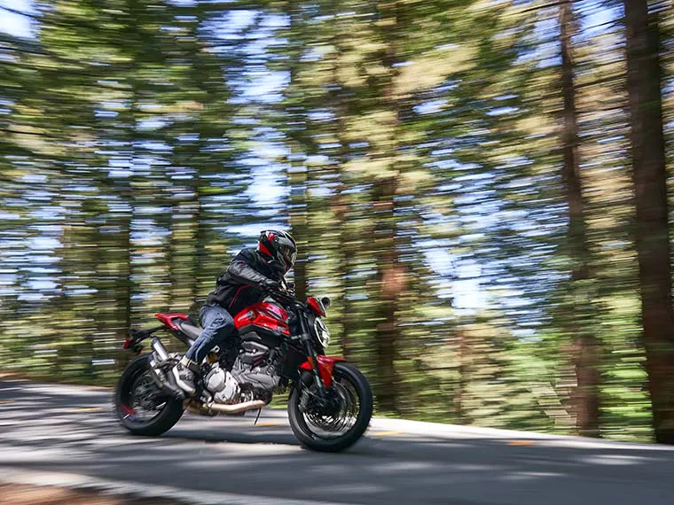 Motocicleta Ducati na floresta de sequoias.