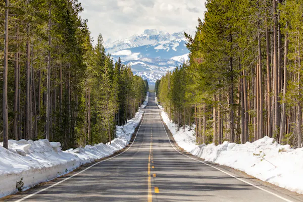 Parque Nacional Yellowstone