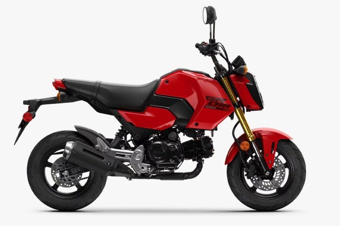 Honda Grom 14 Popular Motorcycles From the Last 10 Years