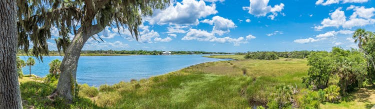 image of crystal river in florida, an example of one of the many great motorcycle destinations you can visit on your WPB motorcycle rental