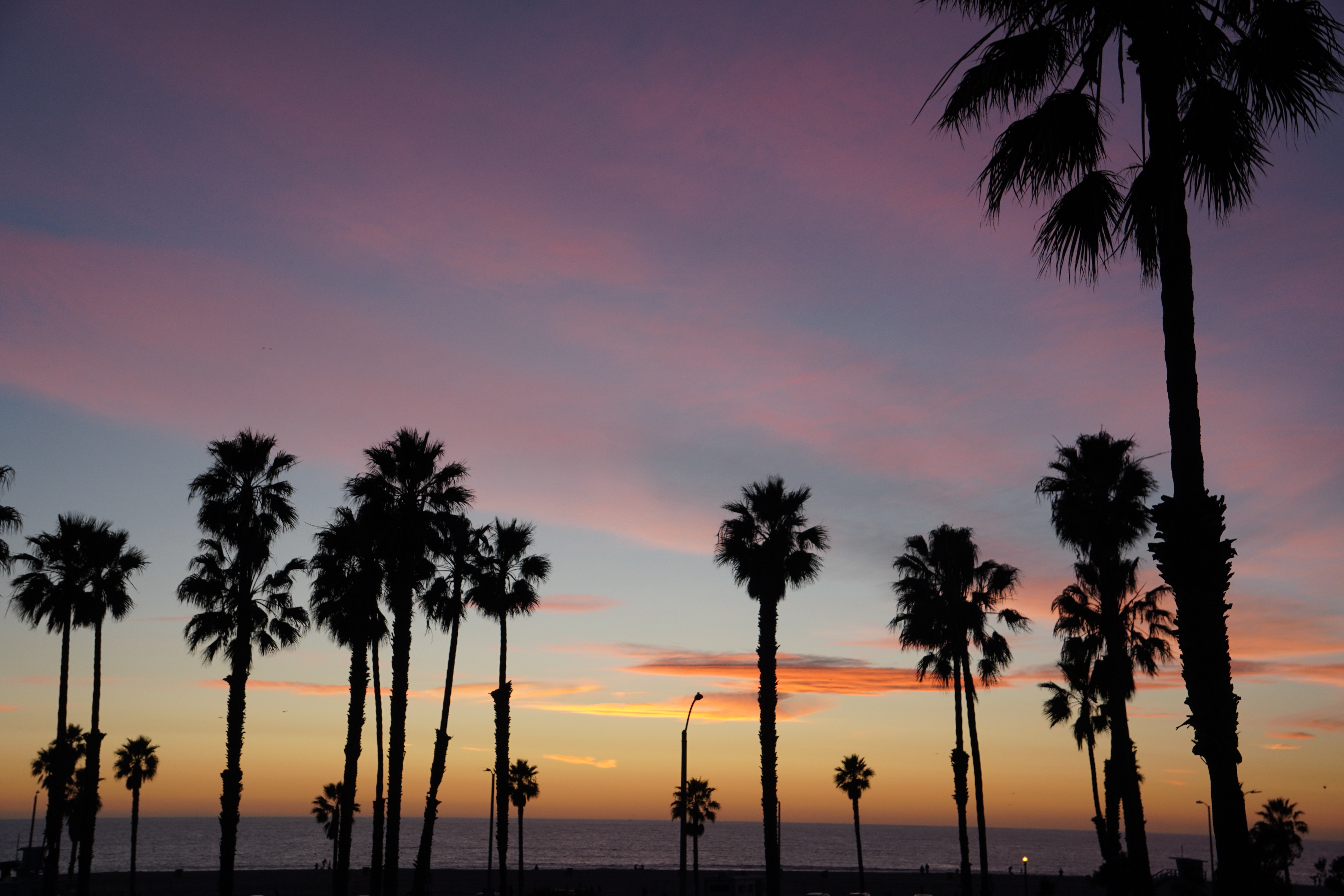 motorcycle rentals west palm beach florida