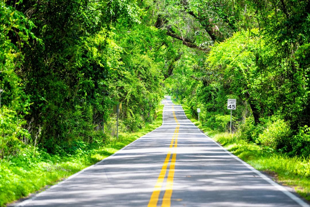 Tallahassee, Florida empty road with do not pass sign on Miccosukee scenic canopy street with nobody during day with southern live oak trees Your Guide to Riding a Motorcycle in Southern Florida