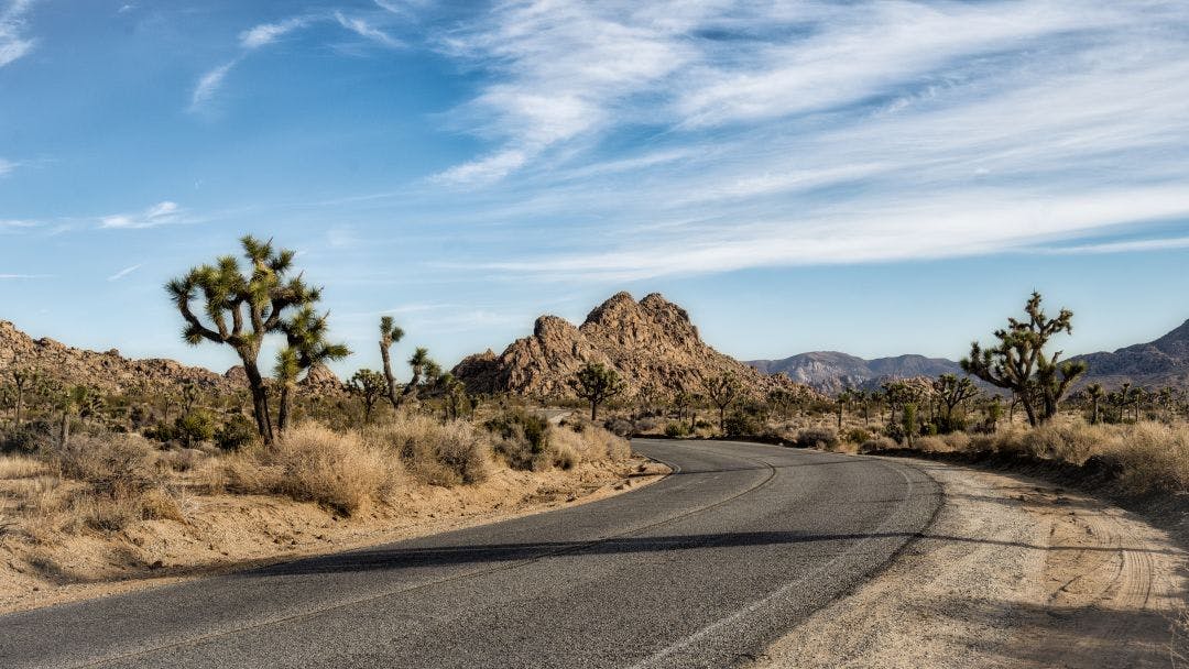 A lonely desert road curving off to the left through hills filled with Joshua Trees (Joshua Tree National Park) Palm Springs to Joshua Tree National Park Road Trip