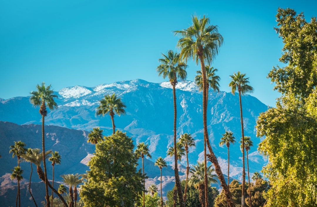 Winter in the City of Palm Springs California Your Guide to Palm Springs by Motorcycle