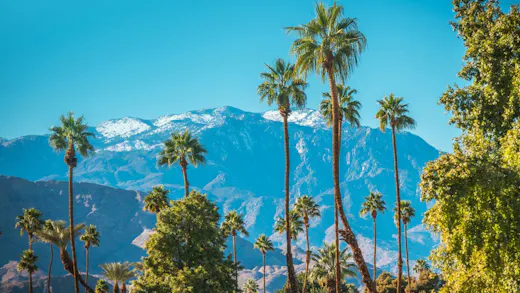 Your Guide to Palm Springs by Motorcycle