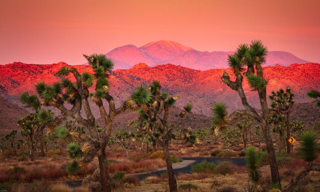 Joshua Tree National Park. Sunrise with San Gorgonio mountain in the distance Your Guide to Palm Springs by Motorcycle