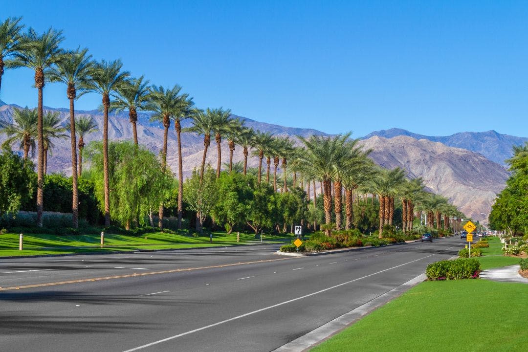 Palm trees line the landscape on California Highway 111 in the city of Indian Wells in the Coachella Valley Your Guide to Palm Springs by Motorcycle