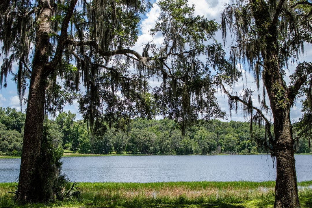 Withlacoochee State Forest Best Motorcycle Routes in Central Florida