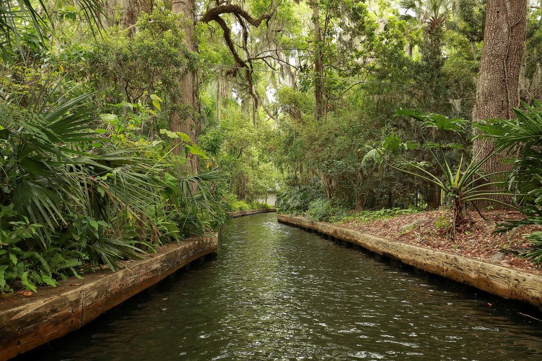 Scenic view of Winter Park, chain of lakes canal. The chain of lakes is a popular tourist destination for residents and visitors to Winter Park, Florida, USA. Fun Things to Do in Orlando That Aren't Disney World