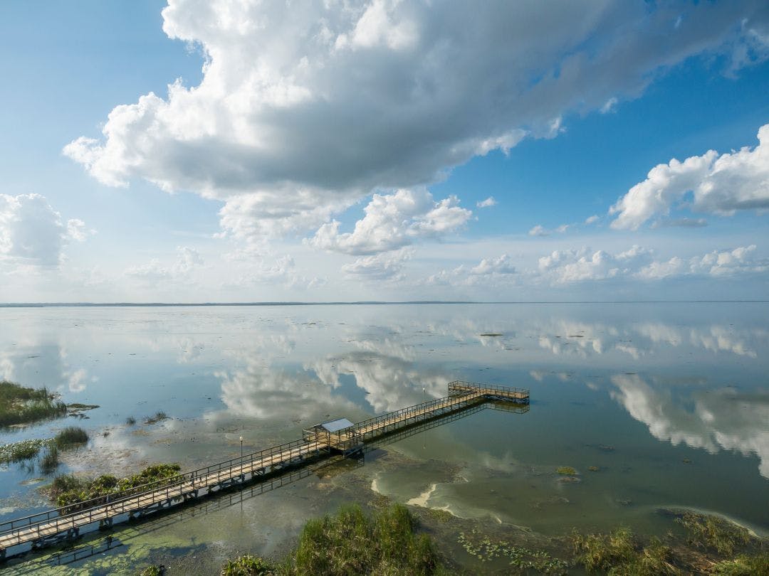 Brilliant blue sky and clouds reflect on Lake Apopka at Winter Garden Florida Fun Things to Do in Orlando That Aren't Disney World