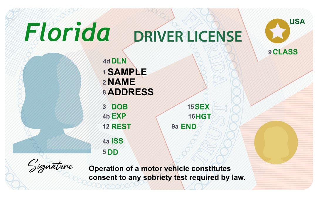 Florida driver's license with female silhouette isolated on white background. Person driver license Your Guide to Florida Motorcycle Laws