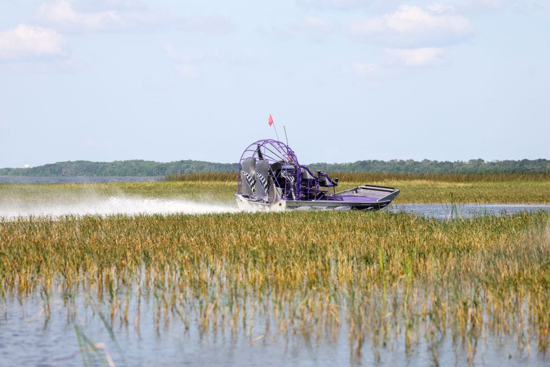 An airboat on the wetland Discover Things to Do in Fort Lauderdale, FL