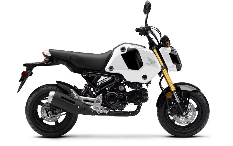 stock picture of a Honda Grom cheap but reliable beginner motorcycles