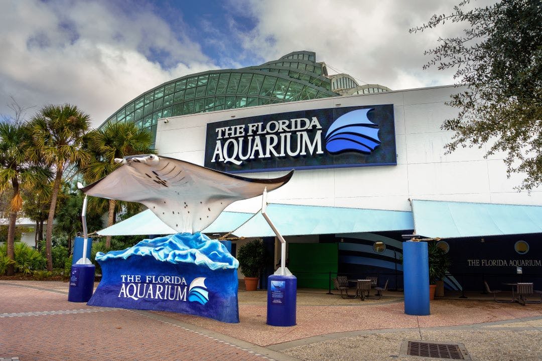 picture of the outside of the Florida Aquarium things to do in Tampa Florida