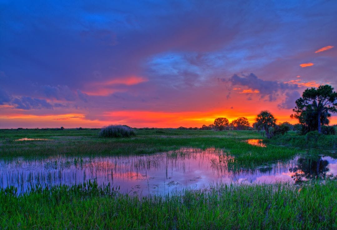 sunset at everglades national park best florida day trips