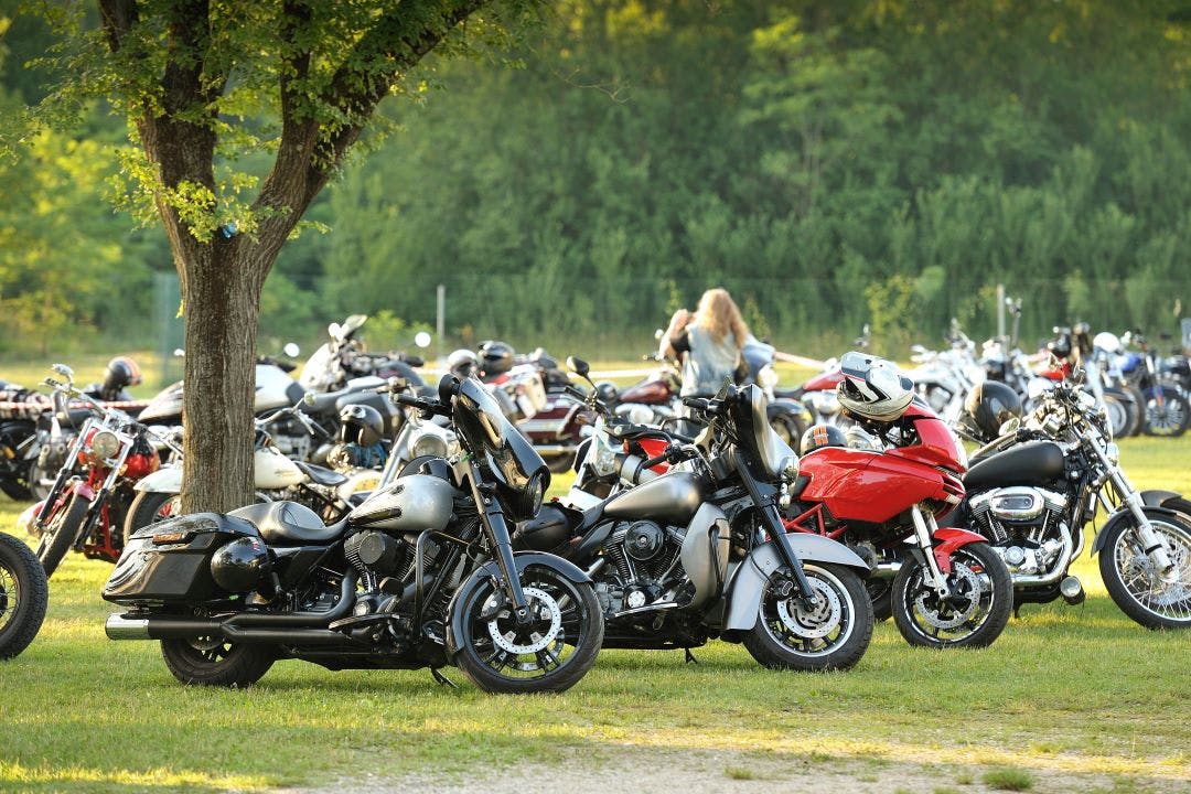 motorcycles parked in a field at a motorcycle rally what you can expect at a motorcycle rally