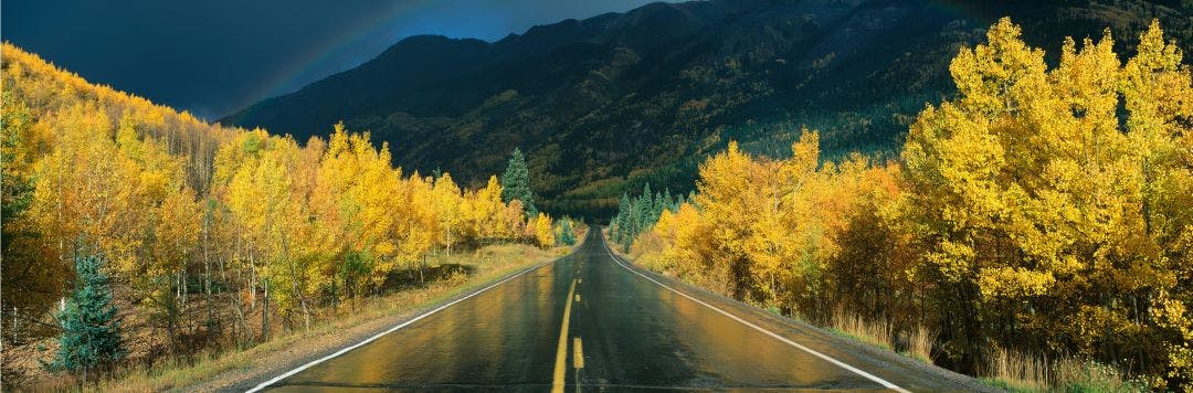 Million Dollar Highway in the rain. The road is dark and wet. There are aspen trees with gold leaves on either side of the road Your Colorado Motorcycle Adventures Await