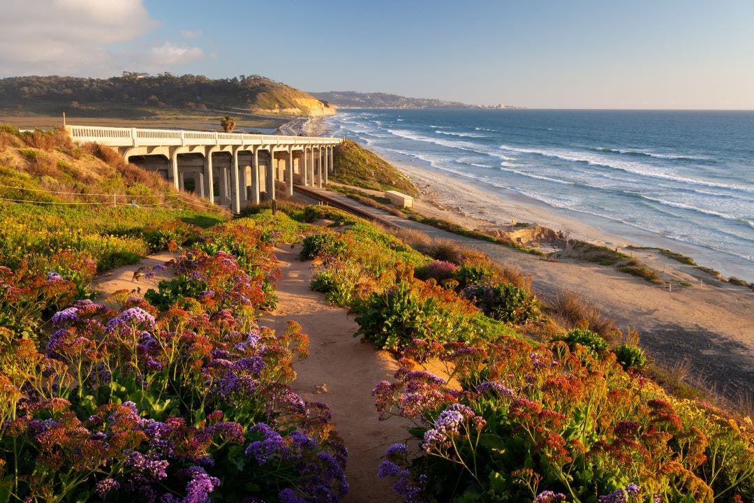 torrey pines state beach san diego Is San Diego Motorcycle Friendly? Your Next Riding Destination