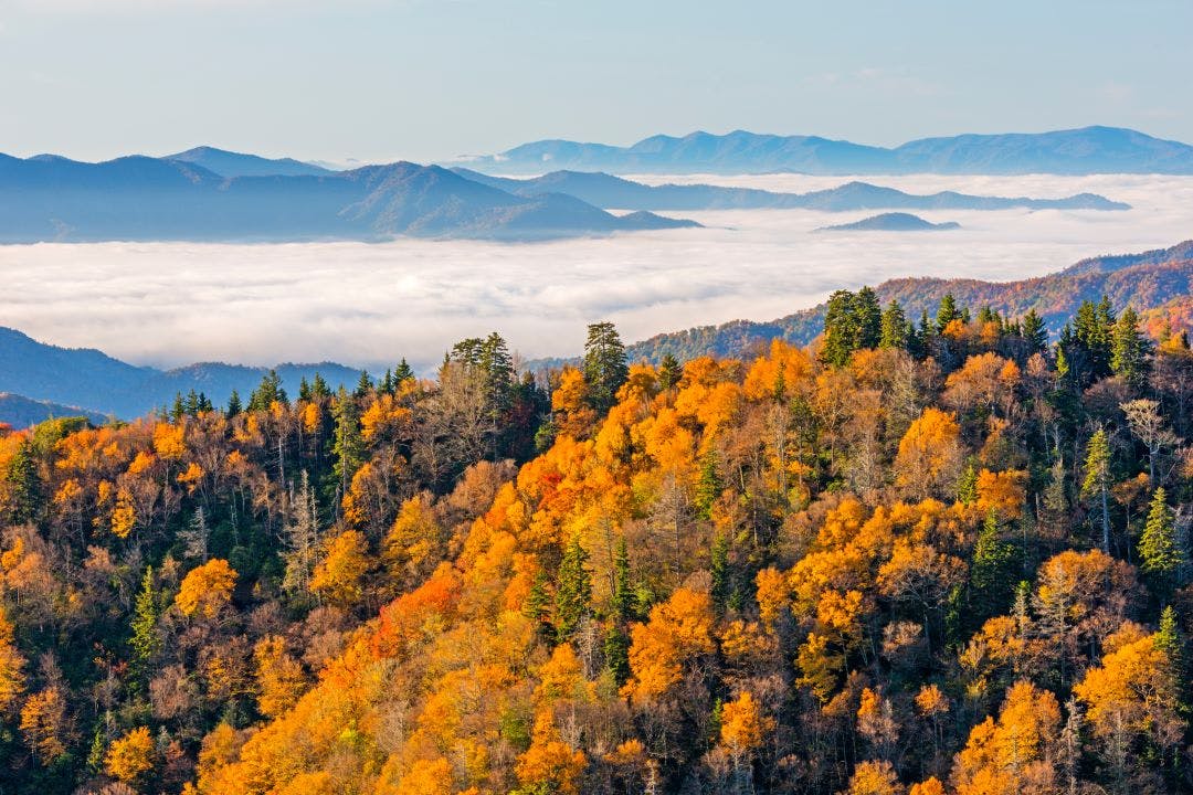 Tennessee, Great Smoky Mountains National Park, Newfound Gap Best Motorcycle Rides in the Great Smoky Mountains