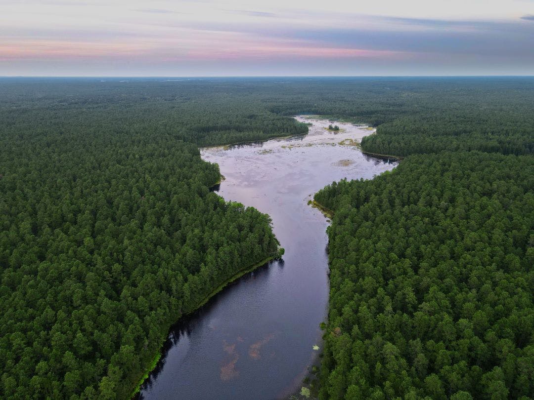 Aerial Photograph of the New Jersey Pine Barrens and Mullica River Best Motorcycle Rides in New Jersey State