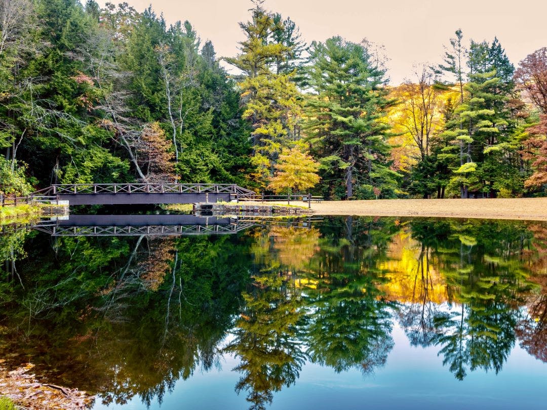 Fall Trees Reflecting in the Creek at Clear Creek State Park near Clarion, Pennsylvania With the yellow and orange showing in the very still water and a dock in the background Pennsylvania's Best Motorcycle Rides