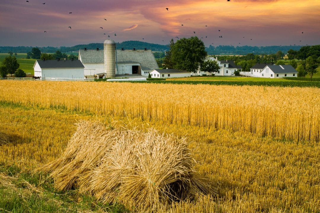 Amish farm near Lancaster, Pennsylvania Pennsylvania's Best Motorcycle Rides