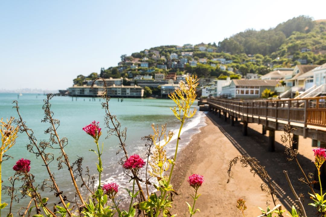 beautiful town of sausalito Discover the Most Worthwhile Day Trips from the San Francisco Bay Area