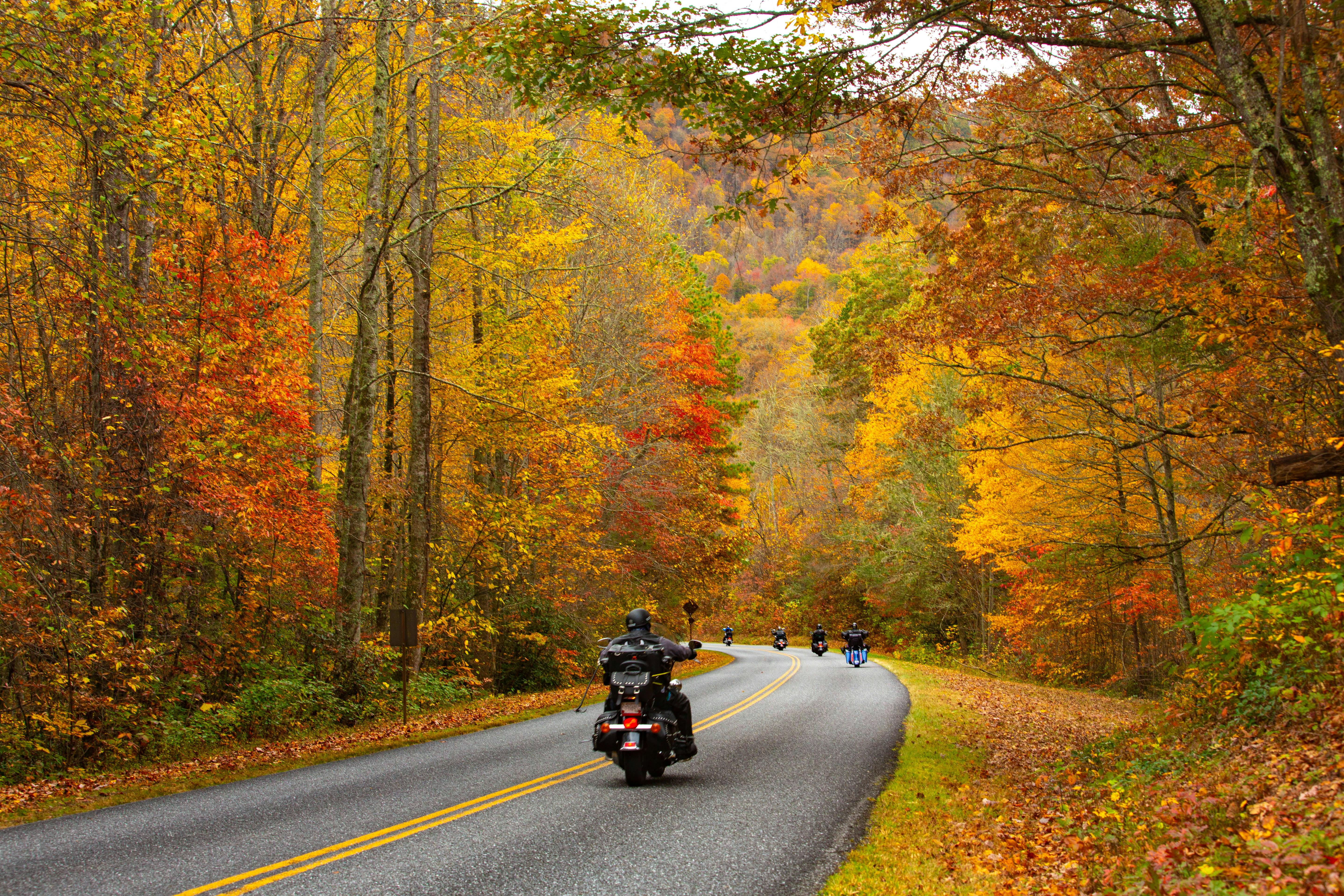 blue ridge parkway best fall motorcycle ride