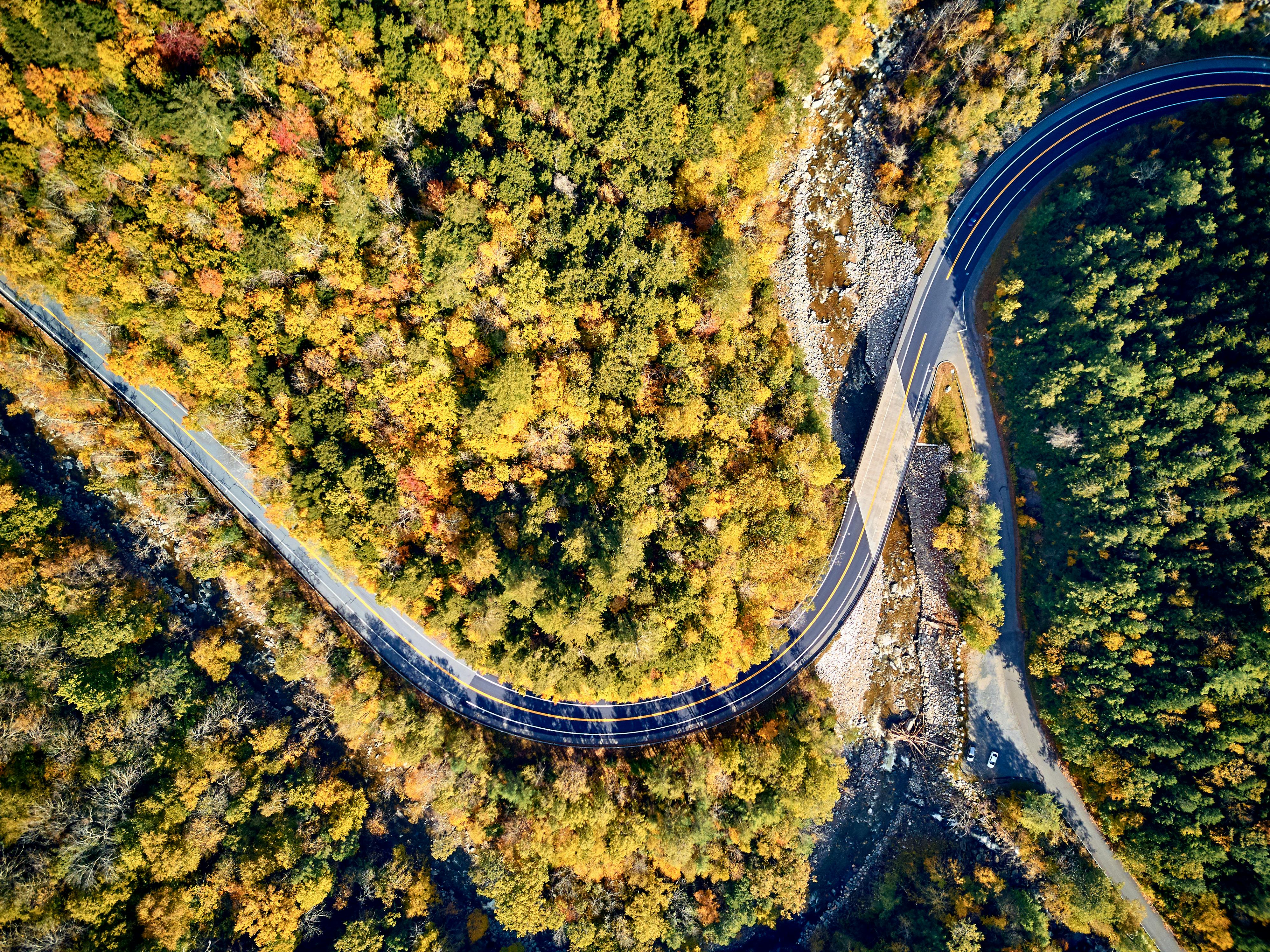 mohawk trail massachusetts during autumn foliage