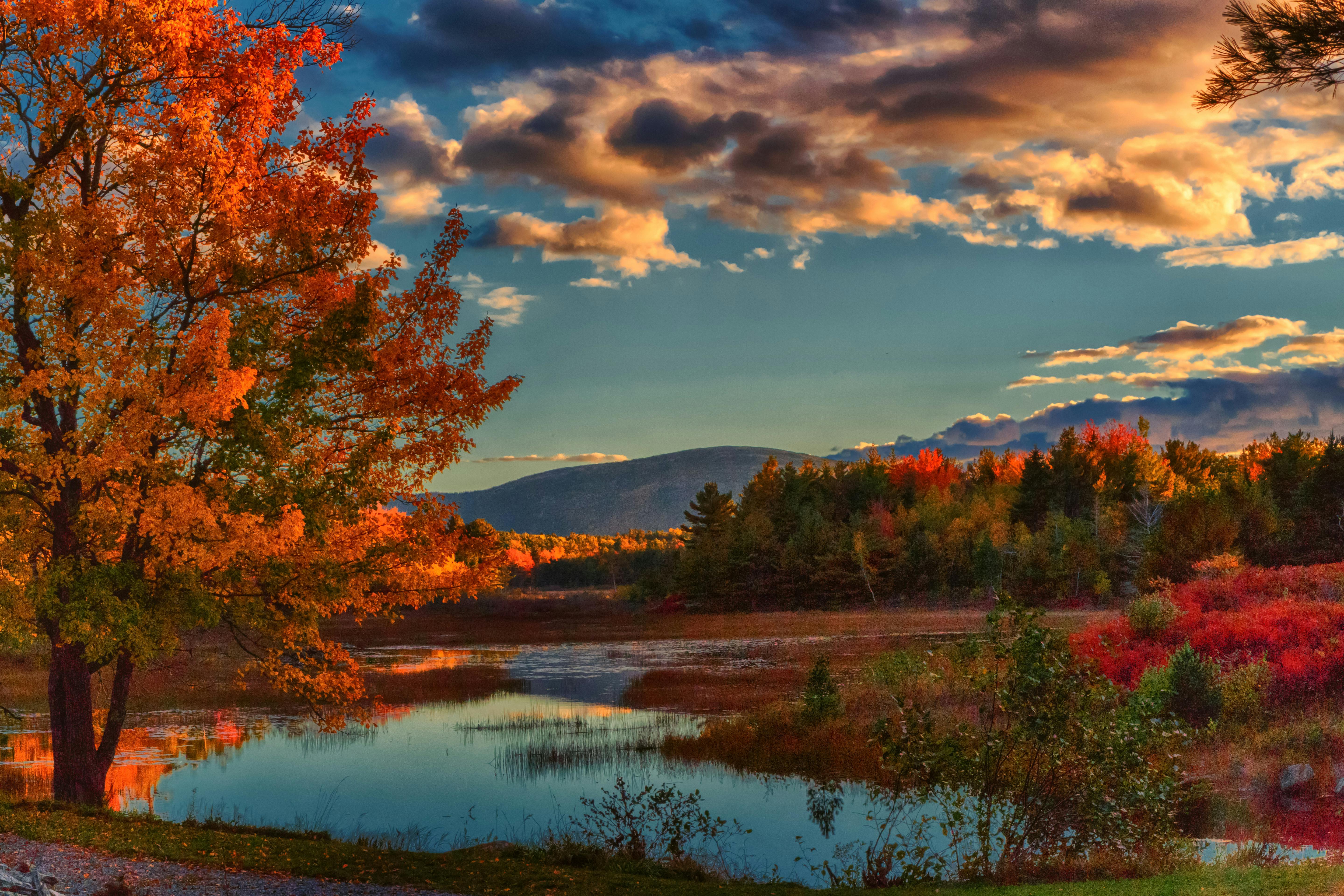 acadia national park in autumn