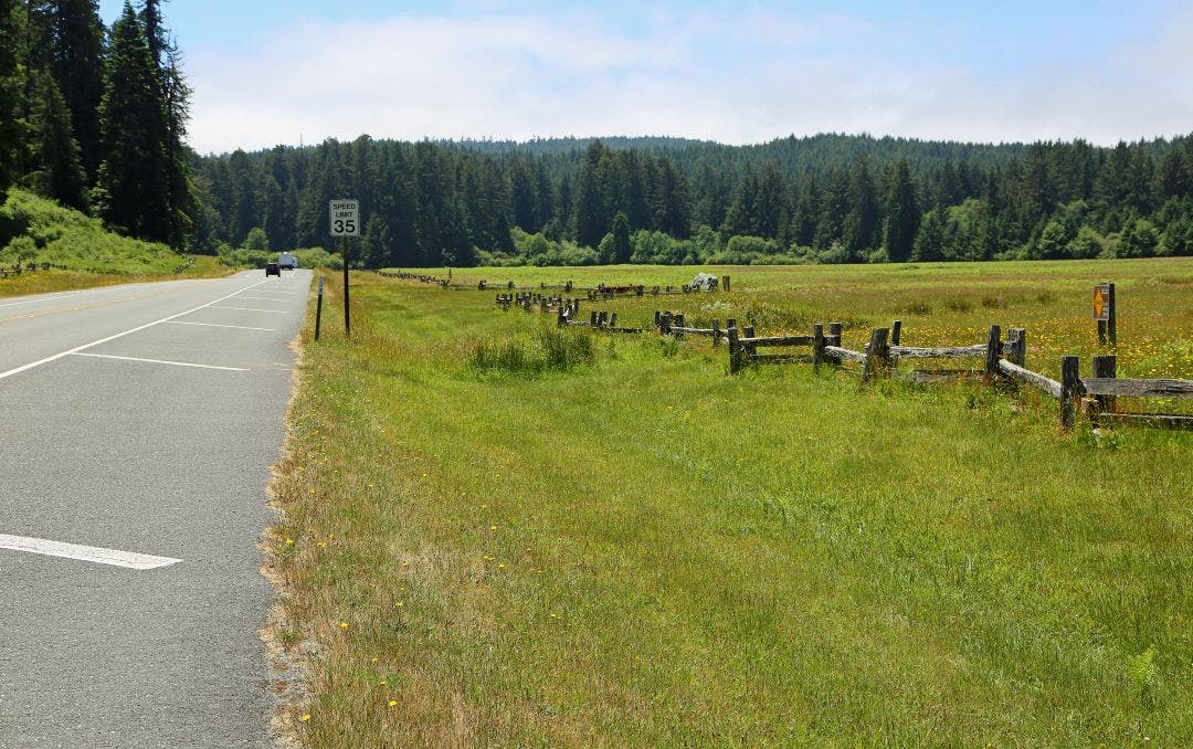 Newton B Drury scenic parkway, California Best Motorcycle Rides in Northern California - Bay Area to the Redwoods