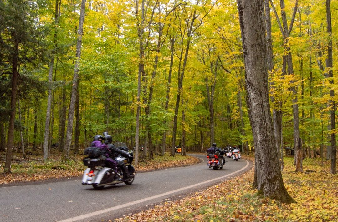 Group of motorcycle bikers rides through curvy road in Tunnel of Trees during autumn Your Complete Guide to Group Riding: Etiquette, Signals, & More