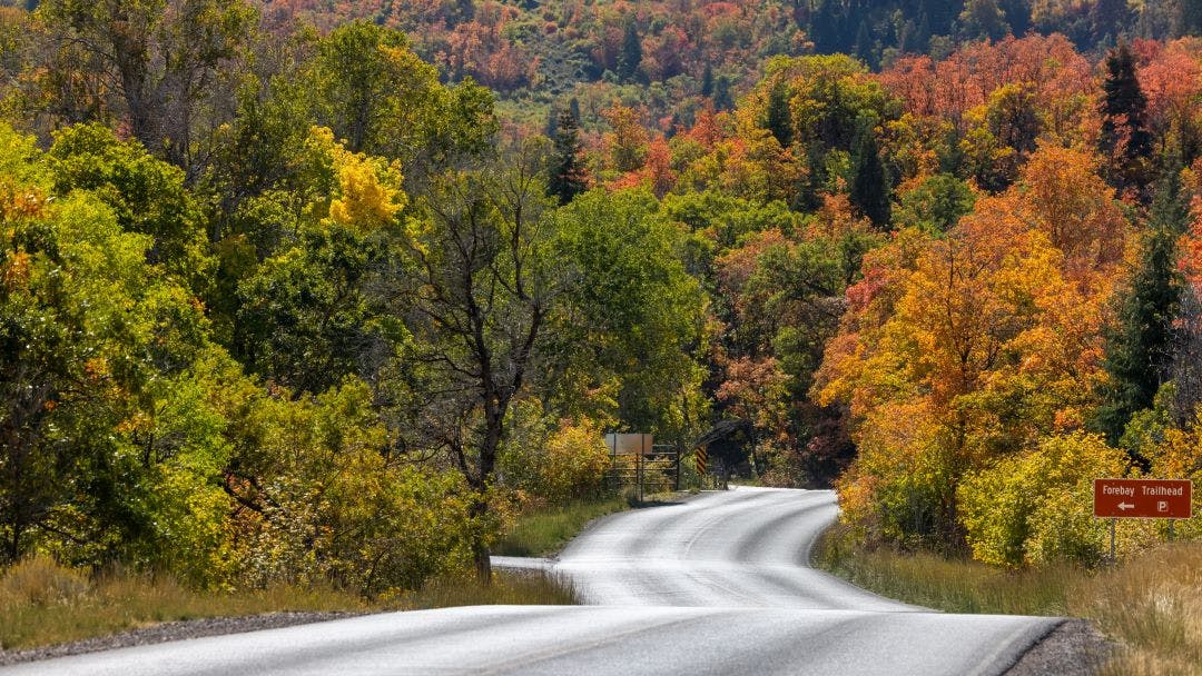 Scenic Mount Nebo loop landscape in autumn time in Utah Best of Utah Motorcycle Rides to Explore Now