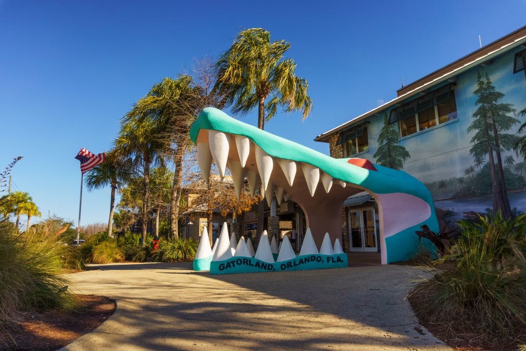 Large alligator head at the main entrance to Gatorland theme Park and wildlife preserve located along South Orange Blossom Trail south of Orlando 13 Day Trips to-and-from Daytona Beach