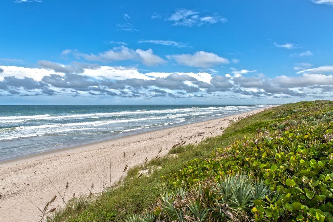 Beach at Canaveral National Seashore at Cape Canaveral Florida 13 Day Trips to-and-from Daytona Beach