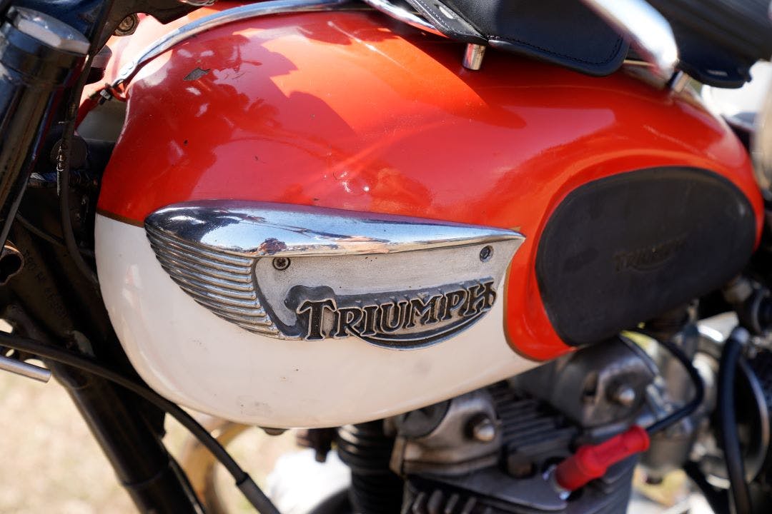 triumph motorcycle detail sign text and logo on red white fuel tank petrol on motorbike vintage Top 5 Classic Triumph Motorcycles You'll Want to Read About