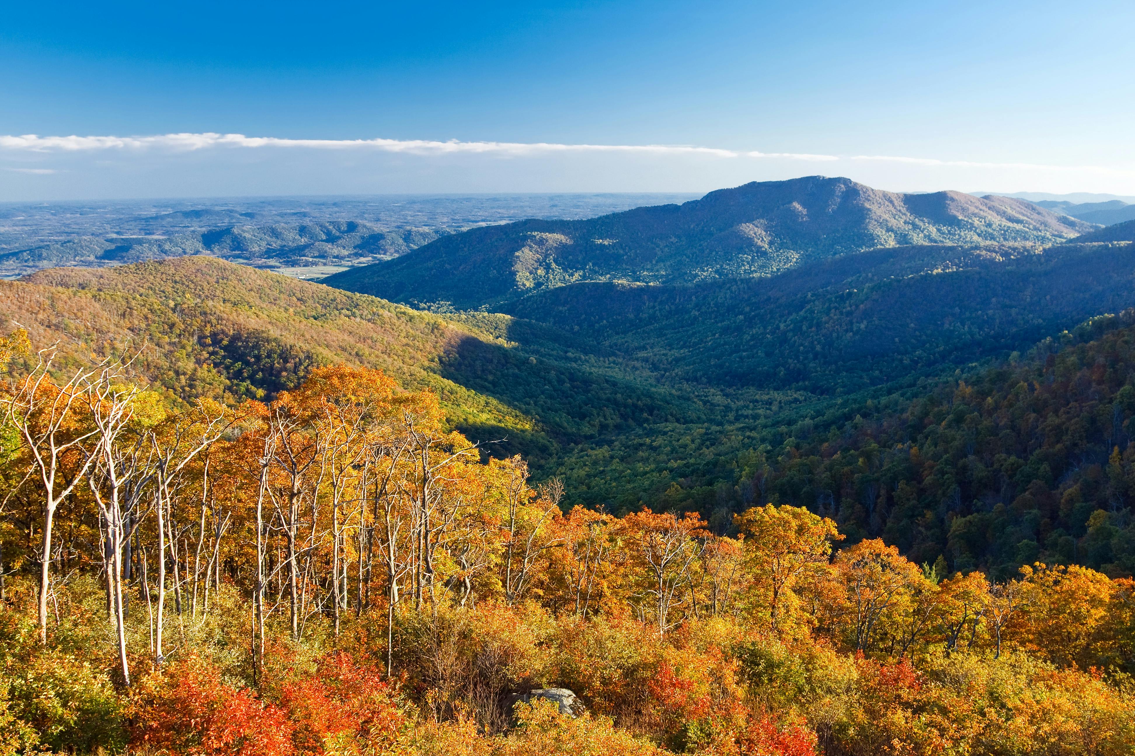 image of pit stop from Nashville to Washington DC - shenandoah national park, virginia