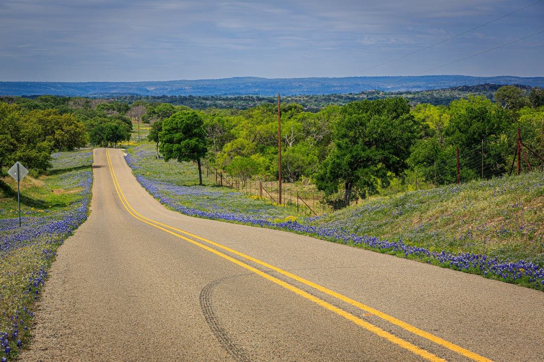 road in a field of bluebonnet flowers in Texas Hill country Beginner-Friendly Motorcycle Tours in the United States