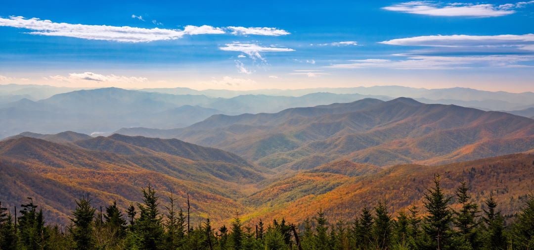 Smoky Mountains im Herbst Ihr Führer für einen unvergesslichen Tennesseer Roadtrip