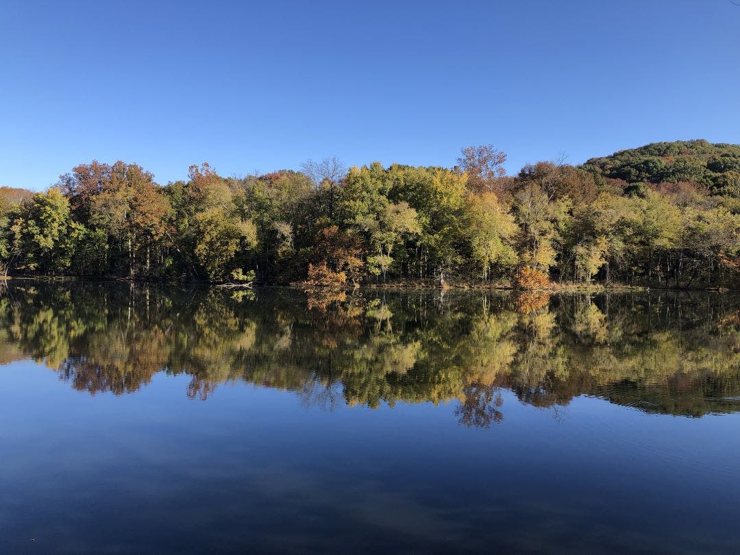 Radnor Lake State Park fall trees mirrored on water 13 Scenic Locations to See Autumn Foliage in Tennessee