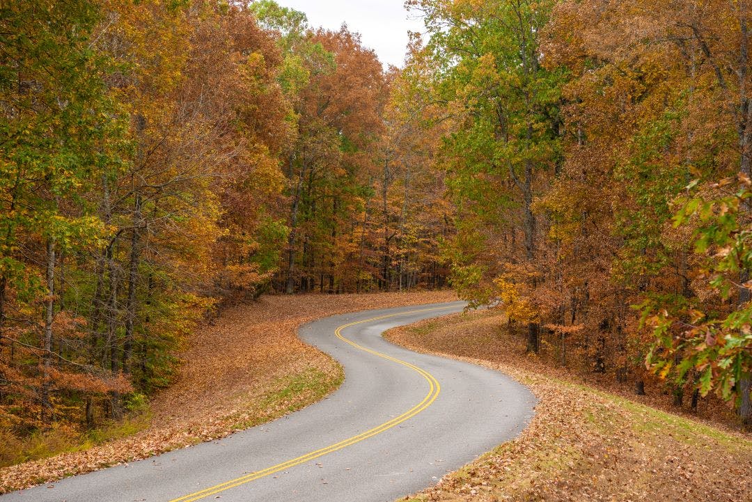 Natchez Trace Parkway road in Tennessee, USA during the fall season 13 Scenic Locations to See Autumn Foliage in Tennessee