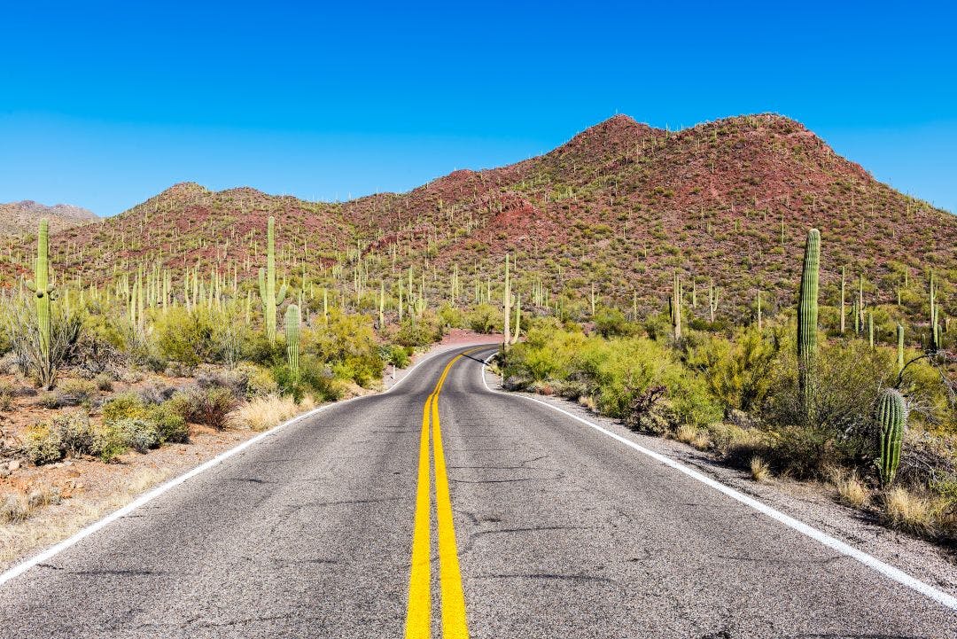 A long empty road leads through the Saguaro National Park, Arizona, USA Beat the Cold With These Winter Motorcycle Destinations